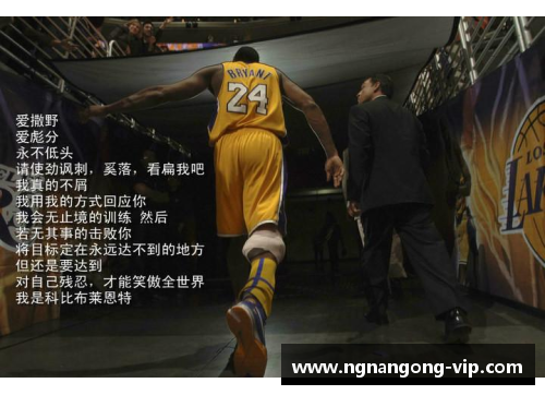 王朝传奇：探索篮球巨星的绝代能力
