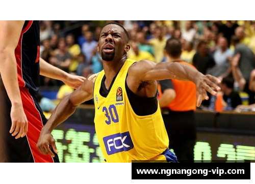 意大利之光：NBA 的意大利球员们